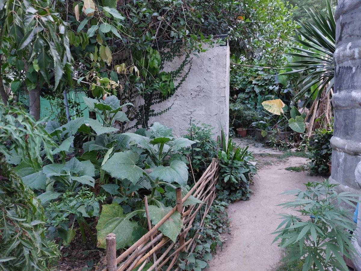 צ'יאנג דאו Thong Family Homestay Chiangdao מראה חיצוני תמונה