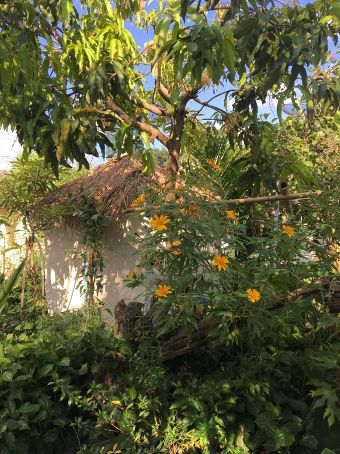 צ'יאנג דאו Thong Family Homestay Chiangdao מראה חיצוני תמונה